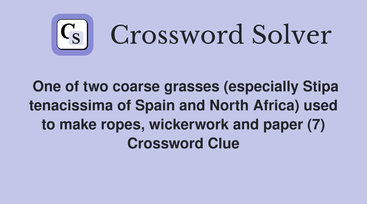 One of two coarse grasses (especially Stipa tenacissima of Spain and